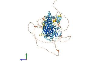 AlphaFold protein structure predicition of Mouse Recombinant Hltf Protein, UniprotID Q6PCN7