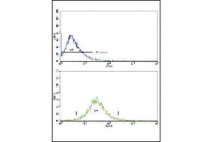 Flow cytometric analysis of HepG2 cells using P3 Antibody (Center)(bottom histogram) compared to a negative control cell (top histogram).