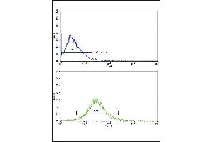 Flow cytometric analysis of HepG2 cells using P3 Antibody (Center)(bottom histogram) compared to a negative control cell (top histogram). (MMP3 anticorps  (AA 298-327))