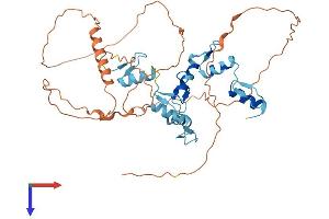 AlphaFold protein structure predicition of Mouse Recombinant Gfi1 Protein, UniprotID P70338