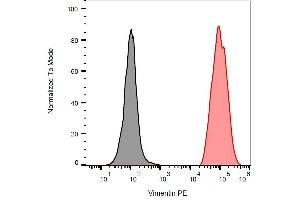 Intracellular flow cytometry analysis of vimentin expression in ESS-1 cells using anti-human vimentin (VI-RE/1) APC. (Vimentin anticorps  (APC))