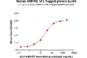 ELISA plate pre-coated by 2 μg/mL (100 μL/well) Human A Protein, hFc Tag (ABIN7092714, ABIN7272246 and ABIN7272247) can bind A