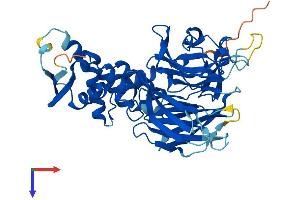AlphaFold protein structure predicition of Human Recombinant KBTBD13 Protein, UniprotID C9JR72