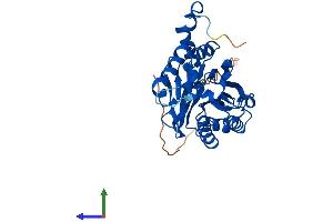 AlphaFold protein structure predicition of Human Recombinant NIT1 Protein, UniprotID Q86X76