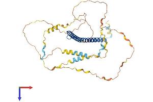 AlphaFold protein structure predicition of Human Recombinant CEBPA Protein, UniprotID P49715