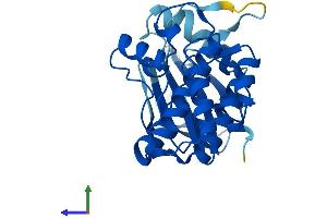 AlphaFold protein structure predicition of Human Recombinant TSSK3 Protein, UniprotID Q96PN8