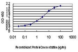 Detection limit for recombinant GST tagged TBX3 is approximately 0.