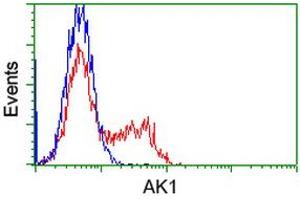 Flow Cytometry (FACS) image for anti-Adenylate Kinase 1 (AK1) antibody (ABIN1496517) (Adenylate Kinase 1 anticorps)