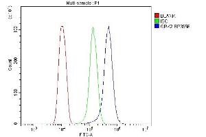 Flow Cytometry analysis of HEPA1-6 cells using anti-GRK2 antibody (ABIN7602826). (GRK2 anticorps  (C-Term))