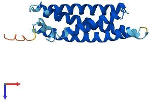 AlphaFold protein structure predicition of Human Recombinant MAL Protein, UniprotID P21145