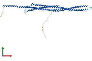 AlphaFold protein structure predicition of Mouse Recombinant Tekt2 Protein, UniprotID Q922G7