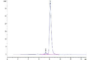 The purity of Human PVRIG is greater than 95 % as determined by SEC-HPLC.