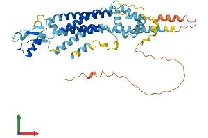 AlphaFold protein structure predicition of Mouse Recombinant Panx1 Protein, UniprotID Q9JIP4