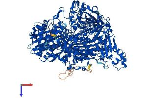 AlphaFold protein structure predicition of Human Recombinant AOX1 Protein, UniprotID Q06278