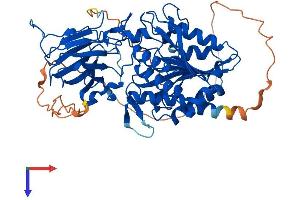 AlphaFold protein structure predicition of Mouse Recombinant Agbl4 Protein, UniprotID Q09LZ8