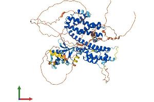 AlphaFold protein structure predicition of Mouse Recombinant Rfx2 Protein, UniprotID P48379