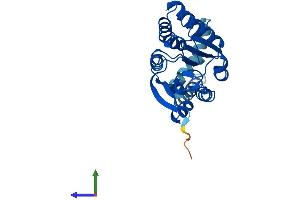 AlphaFold protein structure predicition of Human Recombinant COMT Protein, UniprotID P21964