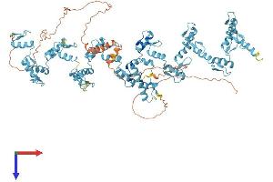 AlphaFold protein structure predicition of Human Recombinant ZNF624 Protein, UniprotID Q9P2J8