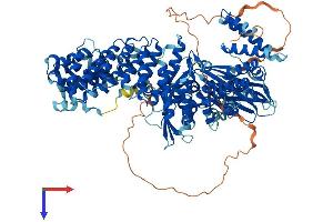 AlphaFold protein structure predicition of Mouse Recombinant Ap2a1 Protein, UniprotID P17426