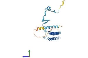 AlphaFold protein structure predicition of Human Recombinant MED7 Protein, UniprotID O43513