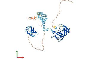 AlphaFold protein structure predicition of Mouse Recombinant Ddi1 Protein, UniprotID Q9DAF3