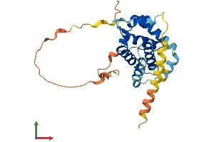 AlphaFold protein structure predicition of Mouse Recombinant Bcl2 Protein, UniprotID P10417