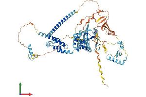 AlphaFold protein structure predicition of Human Recombinant PEG10 Protein, UniprotID Q86TG7