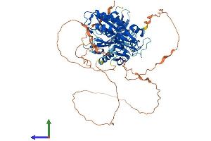 AlphaFold protein structure predicition of Human Recombinant DTX2 Protein, UniprotID Q86UW9