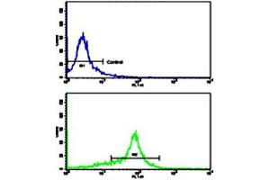 Flow cytometric analysis of WiDr cells using MMP15 polyclonal antibody (bottom histogram) compared to a negative control cell (top histogram). (MMP15 anticorps  (N-Term))