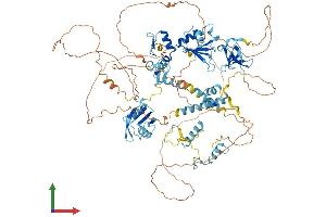 AlphaFold protein structure predicition of Human Recombinant RBM10 Protein, UniprotID P98175