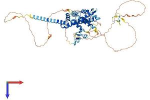 AlphaFold protein structure predicition of Human Recombinant SPATA2 Protein, UniprotID Q9UM82