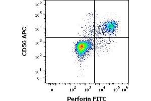 Flow cytometry multicolor surface staining pattern of human lymphocytes using anti-human CD56 (LT56) APC antibody (10 μL reagent / 100 μL of peripheral whole blood) and intracellular staining of human lymphocytes using anti-human Perforin (dG9) FITC antibody (10 μL reagent / 100 μL of peripheral whole blood).
