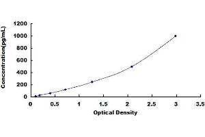 Defensin beta 2 (BD-2) ELISA Kit