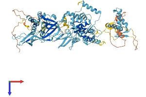 AlphaFold protein structure predicition of Human Recombinant MCM6 Protein, UniprotID Q14566
