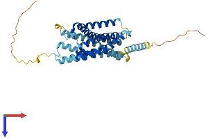 AlphaFold protein structure predicition of Mouse Recombinant Ackr4 Protein, UniprotID Q924I3