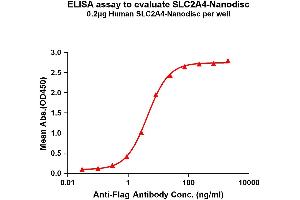 Elisa plates were pre-coated with Flag Tag A4-Nanodisc (0.