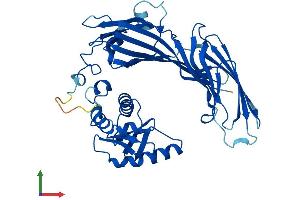 AlphaFold protein structure predicition of Mouse Recombinant Ap1m2 Protein, UniprotID Q9WVP1