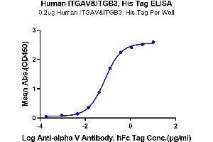 Immobilized Human ITGAV&ITGB3, His Tag at 2 μg/mL (100 μL/Well) on the plate.