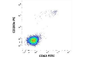 Flow cytometry dot-plot staining pattern of rCor a 1 recombinant allergen stimulated human peripheral whole blood lymphocytes and basophils of a proven allergic donor stained using anti-human CD63 (MEM-259) FITC and anti-human CD203c (NP4D6) PE antibodies .