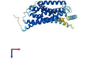 Succinate Receptor 1 (SUCNR1) (AA 1-334) protein (His tag)