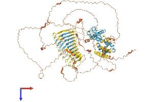 AlphaFold protein structure predicition of Human Recombinant MAGEC1 Protein, UniprotID O60732