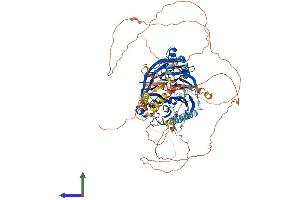 AlphaFold protein structure predicition of Mouse Recombinant Dcaf6 Protein, UniprotID Q9DC22