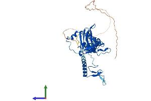 AlphaFold protein structure predicition of Human Recombinant MRPS5 Protein, UniprotID P82675