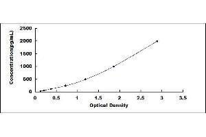Typical standard curve (GOT1 Kit ELISA)
