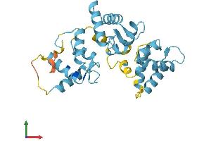 AlphaFold protein structure predicition of Mouse Recombinant Calb2 Protein, UniprotID Q08331