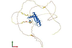 AlphaFold protein structure predicition of Human Recombinant MEF2B Protein, UniprotID Q02080
