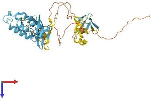 AlphaFold protein structure predicition of Human Recombinant NOXO1 Protein, UniprotID Q8NFA2