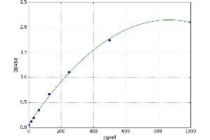 A typical standard curve