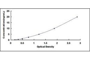 Myeloperoxidase (MPO) ELISA Kit