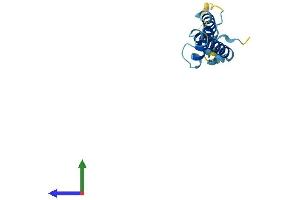 AlphaFold protein structure predicition of Human Recombinant TMEM230 Protein, UniprotID Q96A57
